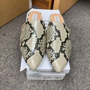 Steve Madden Shoes